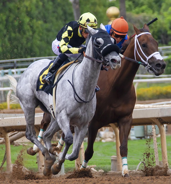 了艰难的抢 了艰难的抢