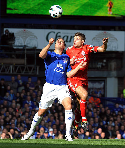 是否引入视 是否引入视